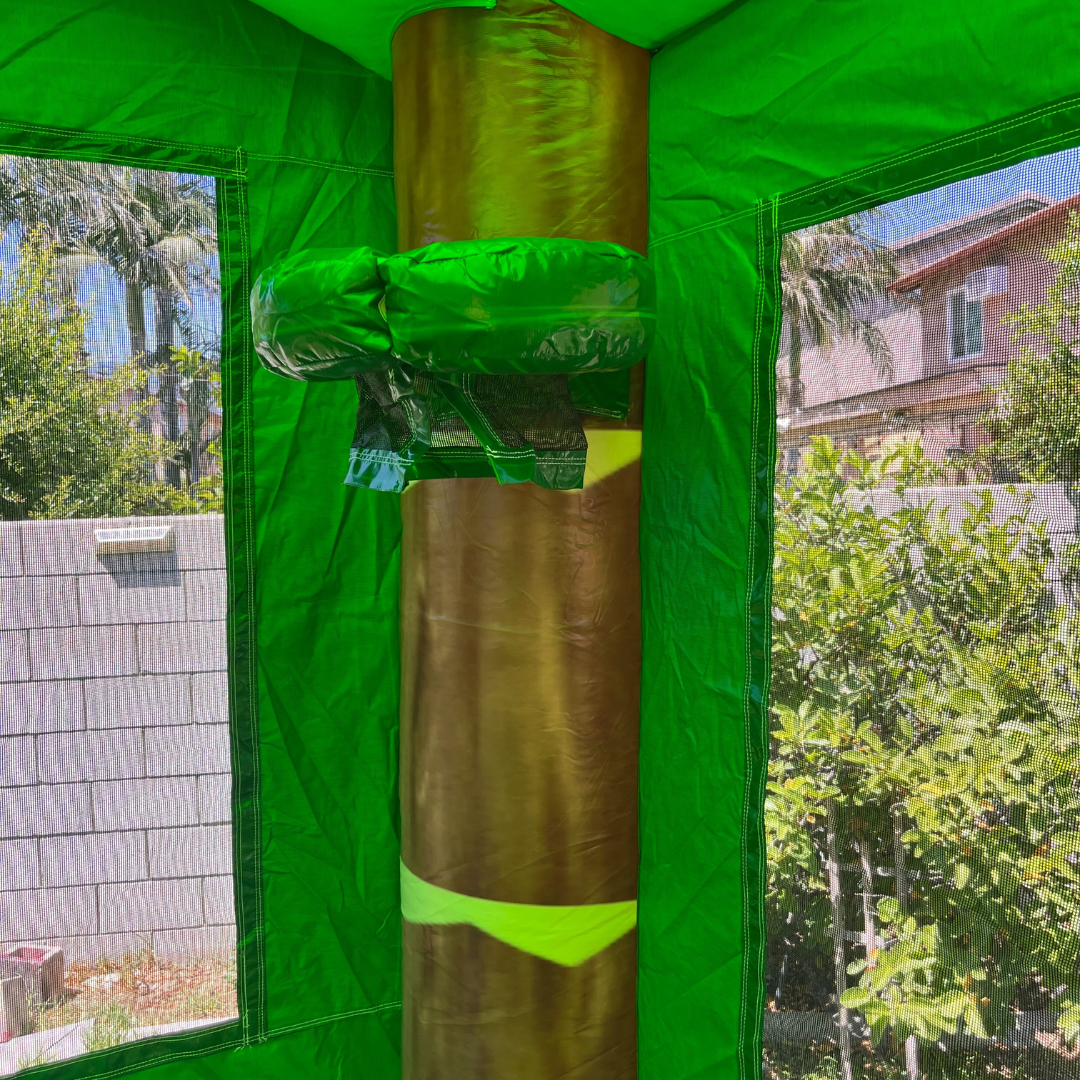 13' x 13' 3D T-Rex Dinosaur Bounce House